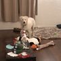 Photo of Paws and Purrs Pet Care