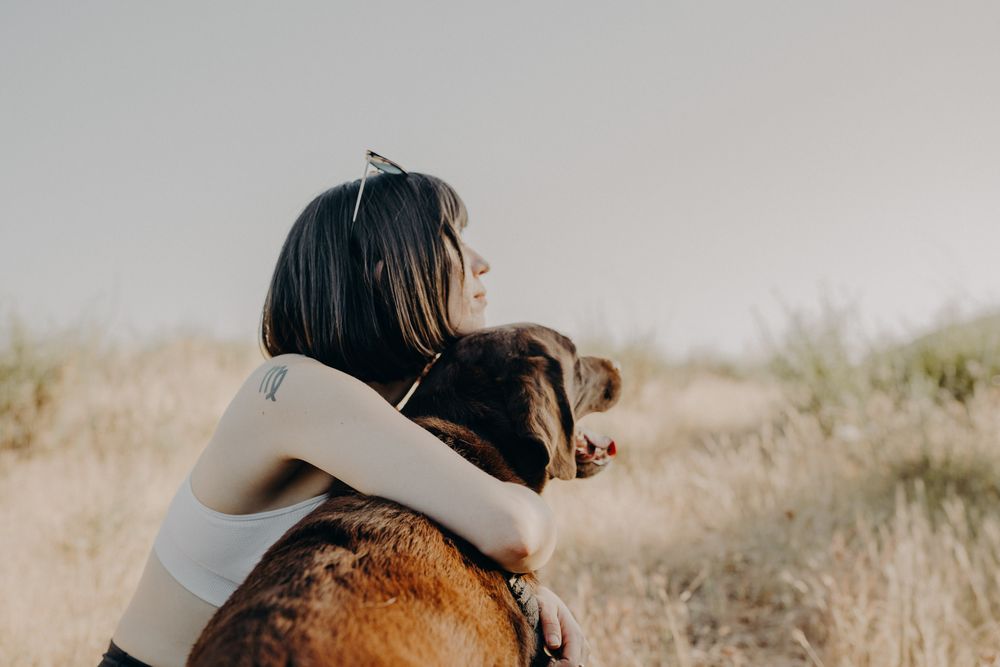 SS Companion Care - pet boarding facility in Portland, OR