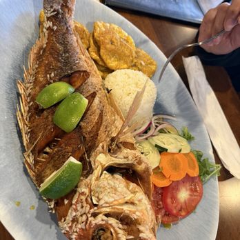 Maracaibo Bistro - Snapper, rice & salad - Venezuelan Near Me - Virginia Beach, Virginia Maracaibo Bistro - Snapper, rice & salad - Venezuelan Near Me - Virginia Beach, Virginia