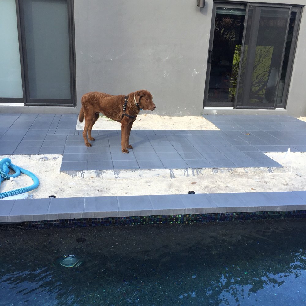 ENGLISH WORLDWIDE POOL & SPA Updated June 2024 1981 Nw 55th Ave