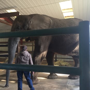 Vision Quest Ranch - Butch going to his bed. - Bed & Breakfast Near Me - Salinas, California Vision Quest Ranch - Butch going to his bed. - Bed & Breakfast Near Me - Salinas, California