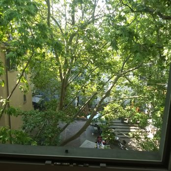 Hotel Adler - view of the square behind the hotel from our room window - Hotels Near Me - Zürich, ZH