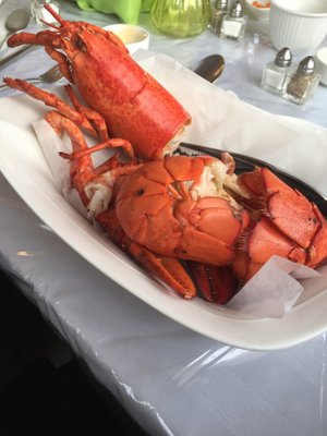 Iceberg Quest Ocean Tours by null