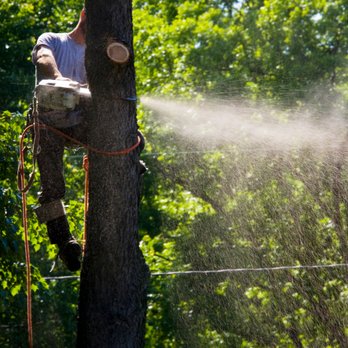Tree Service Garcia - Tree Service - Tree Services Near Me - Shelbyville, Kentucky Tree Service Garcia - Tree Service - Tree Services Near Me - Shelbyville, Kentucky