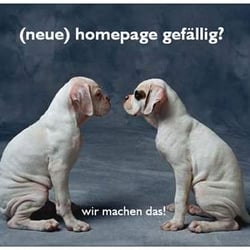 vianos webdesign Nürnberg