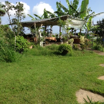 Hawaii Animal Sanctuary - Animal Shelters Near Me - Kailua, Hawaii Hawaii Animal Sanctuary - Animal Shelters Near Me - Kailua, Hawaii