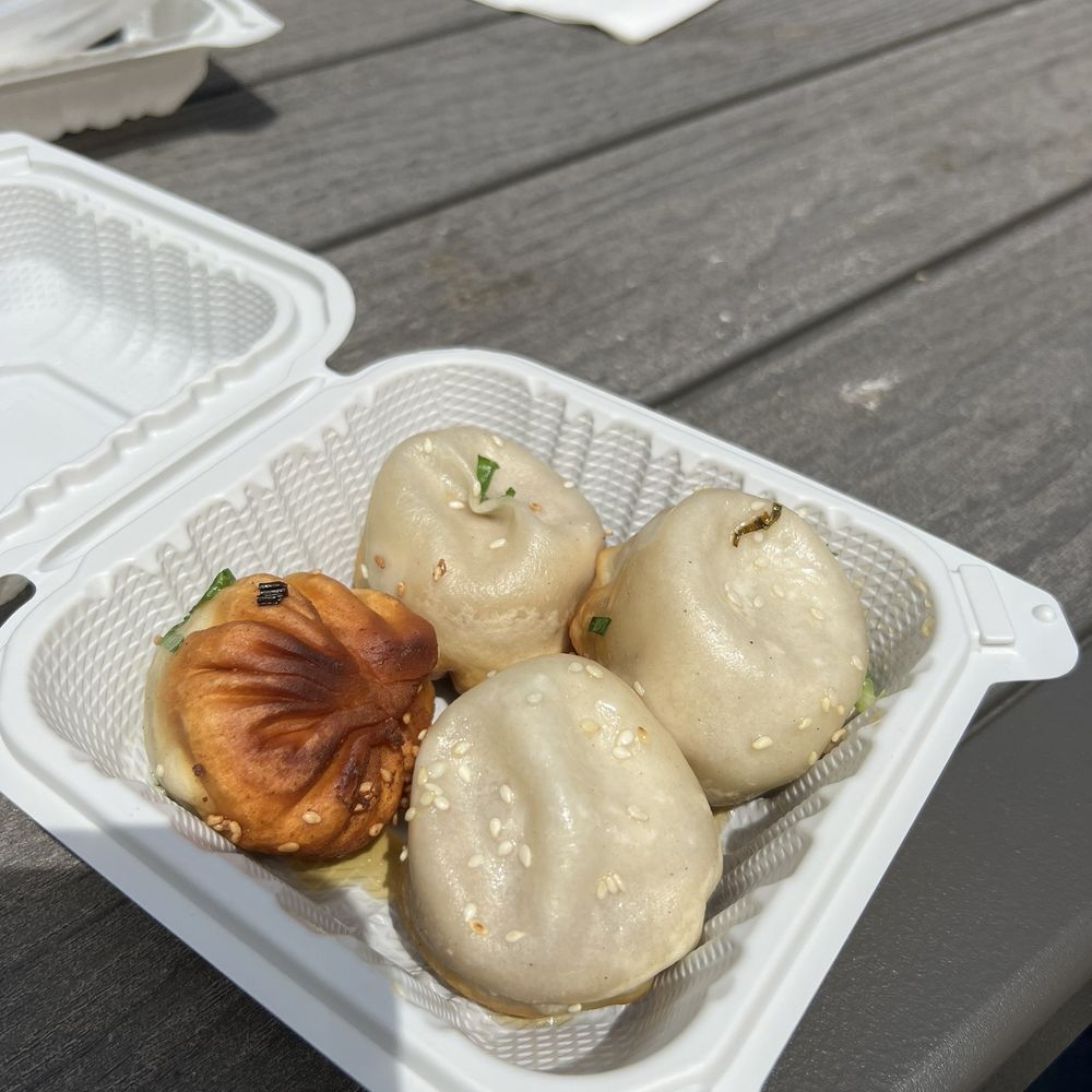 Spring Shanghai Pan-Fried Buns - Shanghainese Near Me - Boston, Massachusetts Spring Shanghai Pan-Fried Buns - Shanghainese Near Me - Boston, Massachusetts