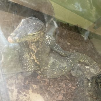 REPTILE FACTORY- RIVERSIDE - Reptile Shops Near Me - Riverside, California REPTILE FACTORY- RIVERSIDE - Reptile Shops Near Me - Riverside, California