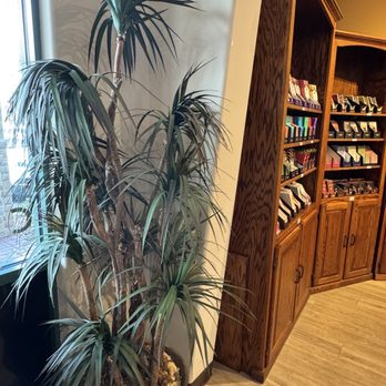 Chocolate Museum & Cafe - Museums Near Me - Orlando, Florida