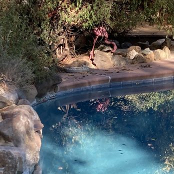 Big Table Ranch - Vacation Rentals Near Me - Coulterville, California