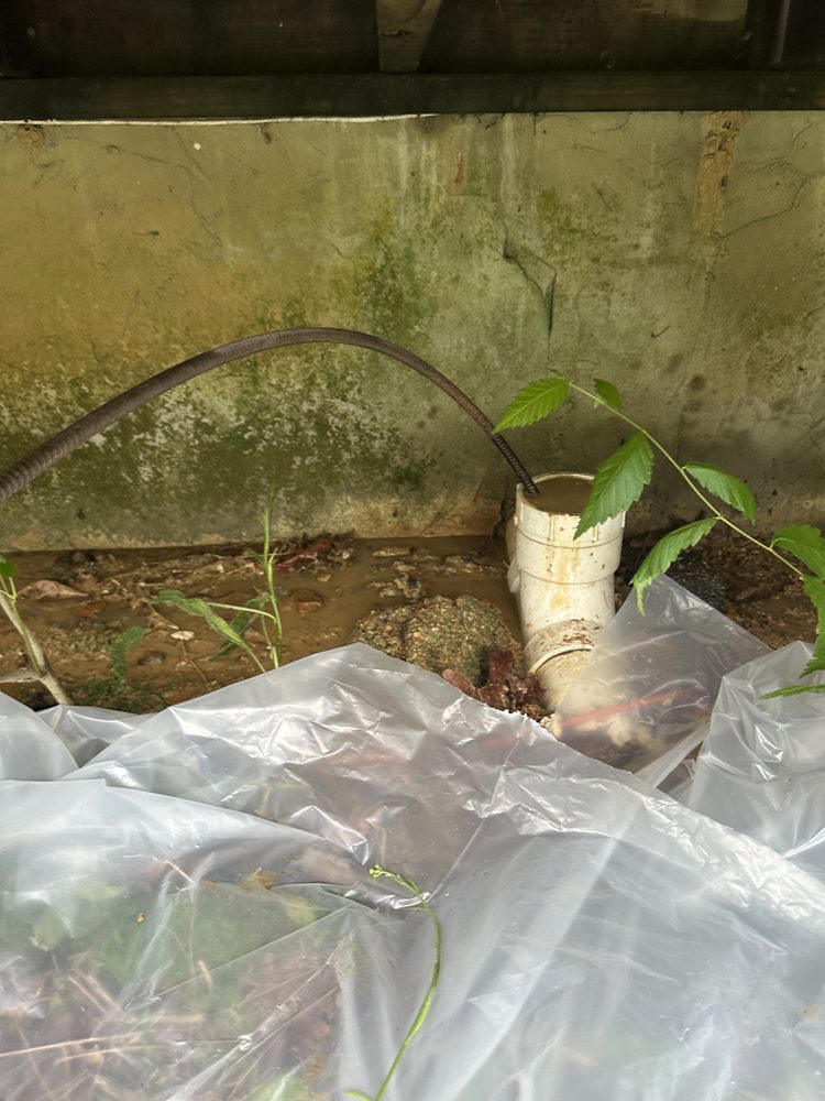 Slide of Affordable Drain solutions