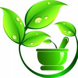 Realistic Remedies - Realistic Remedies LLC