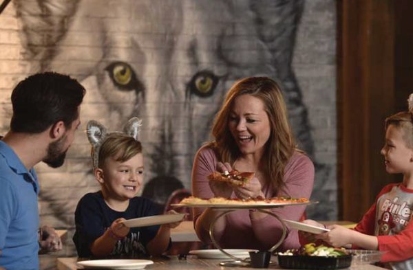 Great Wolf Lodge | Southwest Florida by null