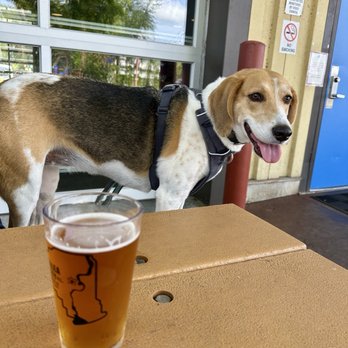 The Azalea Brew Pub - 386 beer & dog friendly outdoor seating - Venues & Event Spaces Near Me - Palatka, Florida The Azalea Brew Pub - 386 beer & dog friendly outdoor seating - Venues & Event Spaces Near Me - Palatka, Florida