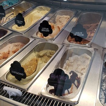 Delicious By Carlotta Gelati - Gelato Near Me - Weston, Florida Delicious By Carlotta Gelati - Gelato Near Me - Weston, Florida