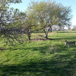 Riverwalk Dog Park - Nice day for the dog park.