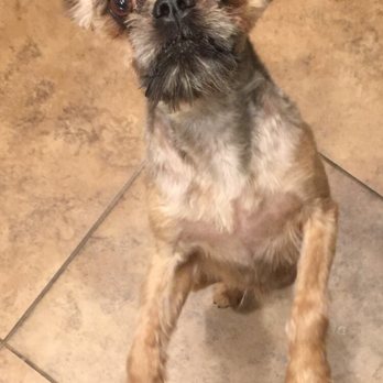 PetSmart - Pet Training Near Me - Las Vegas, Nevada PetSmart - Pet Training Near Me - Las Vegas, Nevada