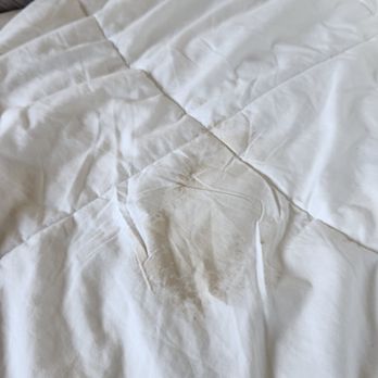Quality Inn - Brown stain on comforter - Hotels Near Me - Post Falls, Idaho Quality Inn - Brown stain on comforter - Hotels Near Me - Post Falls, Idaho