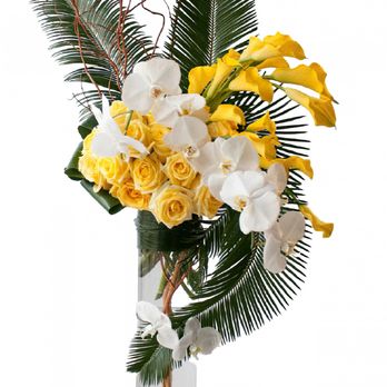Austin Flower Delivery - Unique and new - Florists Near Me - Austin, Texas Austin Flower Delivery - Unique and new - Florists Near Me - Austin, Texas