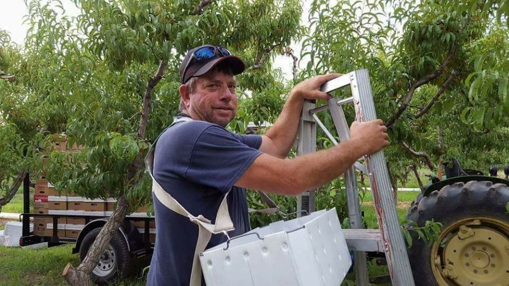 DAVIS FAMILY FARMS 11 Photos 35825 US Hwy 40, Steamboat Springs