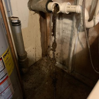 Parham Plumbing - Clean out with feces and some roots. - Plumbing Near Me - Arnold, Missouri Parham Plumbing - Clean out with feces and some roots. - Plumbing Near Me - Arnold, Missouri