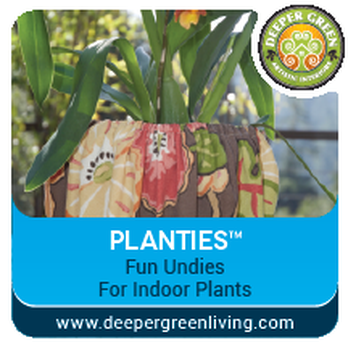 Deeper Green - a close up of a potted plant with the words planties fun undies for indoor plants - Interior Design Near Me Deeper Green - a close up of a potted plant with the words planties fun undies for indoor plants - Interior Design Near Me