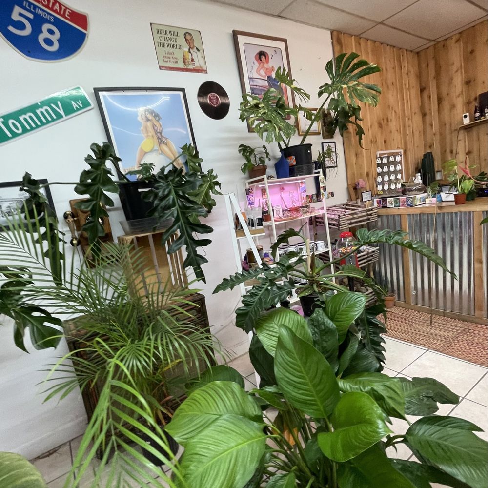 Green Spaces Plant Shop - inside plant shop - Nurseries & Gardening Near Me - Chicago, Illinois