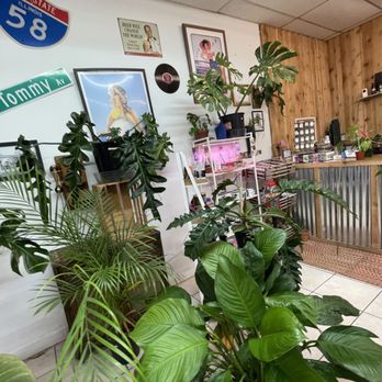Green Spaces Plant Shop - inside plant shop - Nurseries & Gardening Near Me - Chicago, Illinois