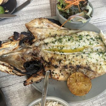 Ictio - Seafood Near Me - Playa del Carmen, ROO