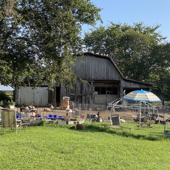 Fantastic Beiling Farm - a large barn with several chairs and umbrellas - Attraction Farms Near Me - Pulaski, Tennessee Fantastic Beiling Farm - a large barn with several chairs and umbrellas - Attraction Farms Near Me - Pulaski, Tennessee