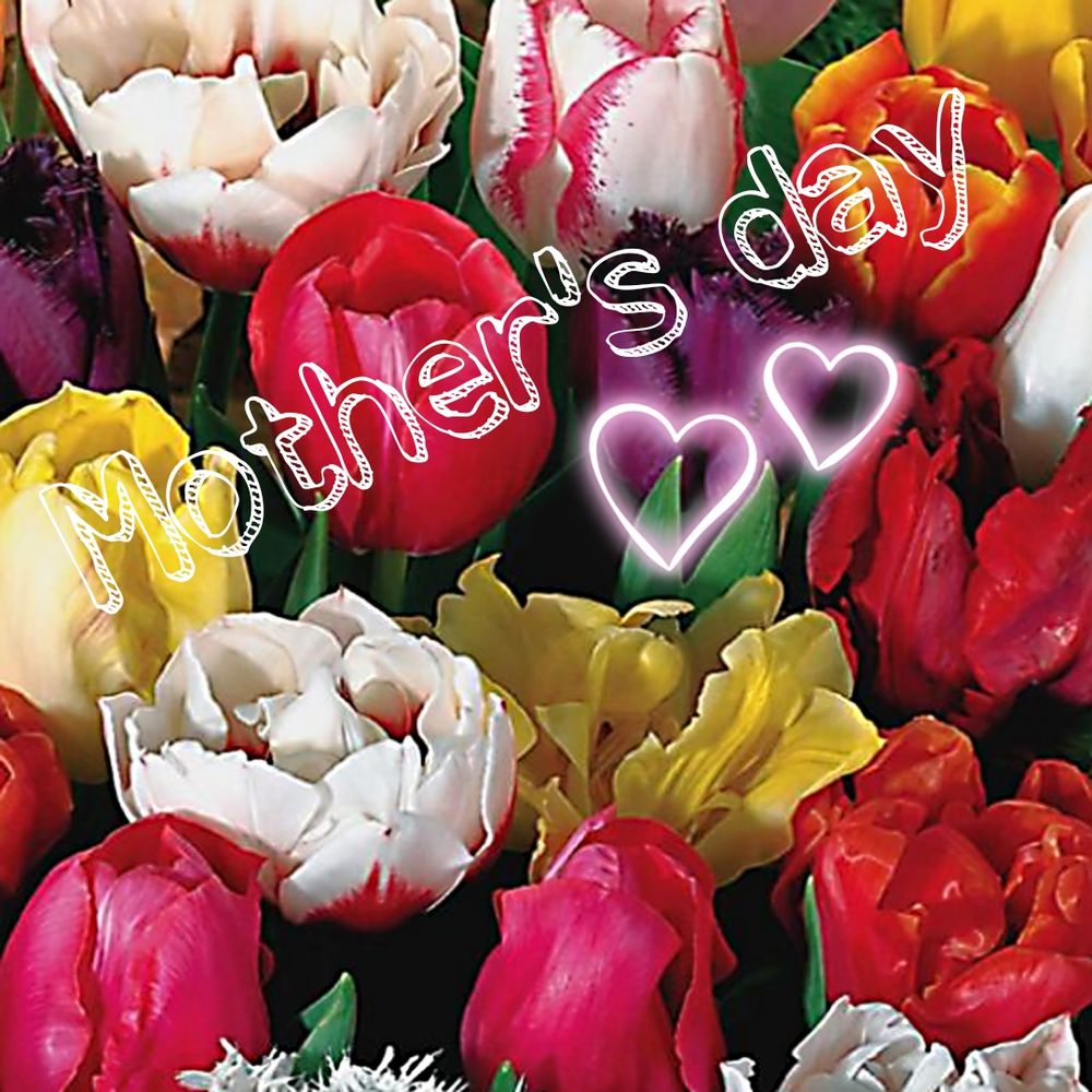 BEE WITCHED GARDENING Updated September 2024 Request Information