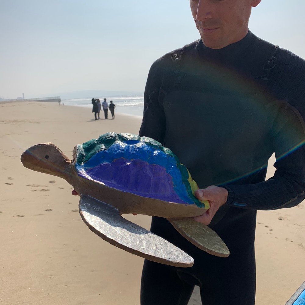 Campsurf - Our Special Biodegradable Turtle. - Summer Camps Near Me - Manhattan Beach, California Campsurf - Our Special Biodegradable Turtle. - Summer Camps Near Me - Manhattan Beach, California