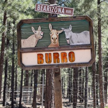 Bearizona - Zoos Near Me - Williams, Arizona Bearizona - Zoos Near Me - Williams, Arizona