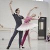 charlottesville ballet gift card