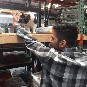 Escondido Feed & Pet Supply - Getting some kitty love. - Pet Stores Near Me - Escondido, California Escondido Feed & Pet Supply - Getting some kitty love. - Pet Stores Near Me - Escondido, California