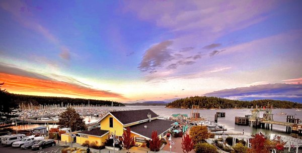 Downriggers - Friday Harbor by null