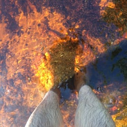Lake Ainsworth