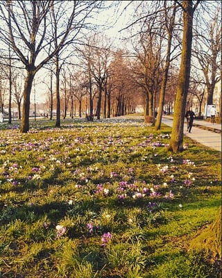 Parc de la Citadelle by null