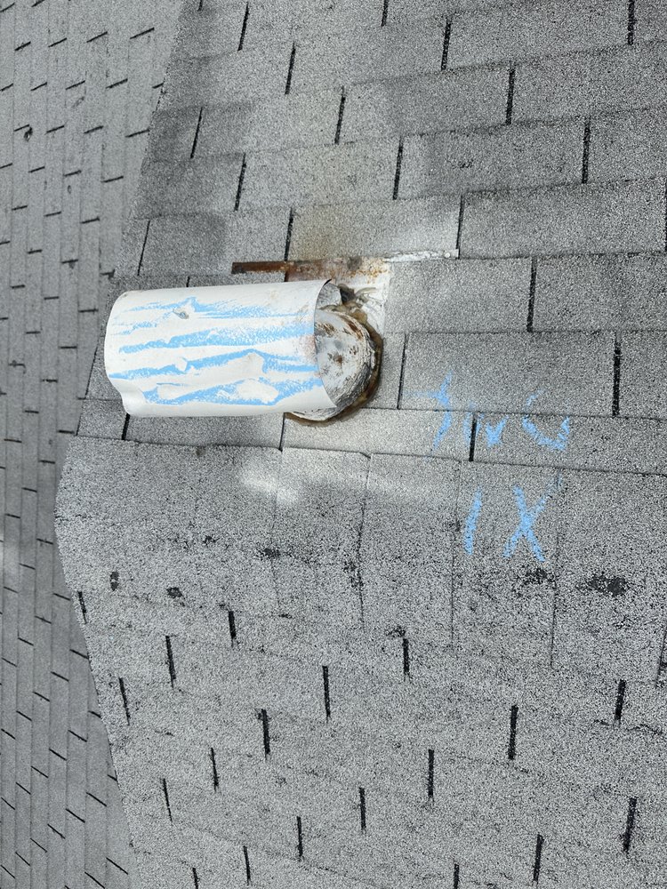 Slide of Beyond Shingles