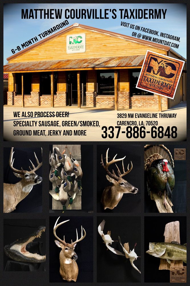 Matthew Courville’s Taxidermy Studio - taxidermy in Carencro, LA