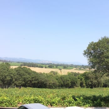 Woodenhead Wines - View from the patio - Wineries Near Me - Santa Rosa, California