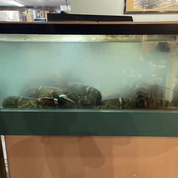 Ming Dynasty - Live Lobster tank - Dim Sum Near Me - Albuquerque, New Mexico