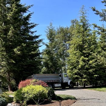 Vista Materials - Large truck backing down narrow tree lined driveway. - Building Supplies Near Me - Ferndale, Washington Vista Materials - Large truck backing down narrow tree lined driveway. - Building Supplies Near Me - Ferndale, Washington