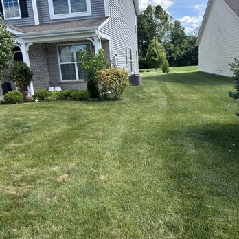 Vantage Property Solutions - Lawn Services Near Me - Brownsburg, Indiana Vantage Property Solutions - Lawn Services Near Me - Brownsburg, Indiana