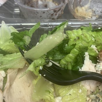 Stone Oven - The bug on the fork inside my walnut apple salad - Sandwiches Near Me - Glendale, California Stone Oven - The bug on the fork inside my walnut apple salad - Sandwiches Near Me - Glendale, California