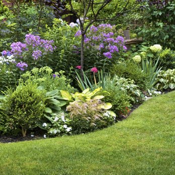 The Gardener - Gardeners Near Me - Jefferson Valley, New York The Gardener - Gardeners Near Me - Jefferson Valley, New York