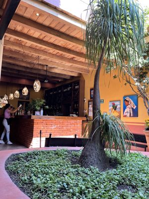 Ajijic Tango by null