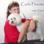 Photo of Land of Paws Pet Grooming