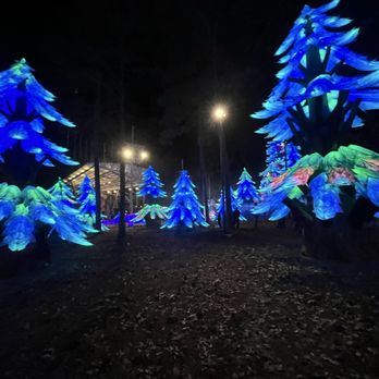 Chinese Lantern Festival - Festivals Near Me - Cary, North Carolina