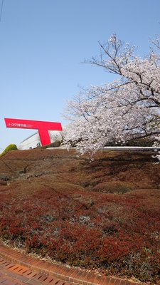 Toyota Auto Museum by null